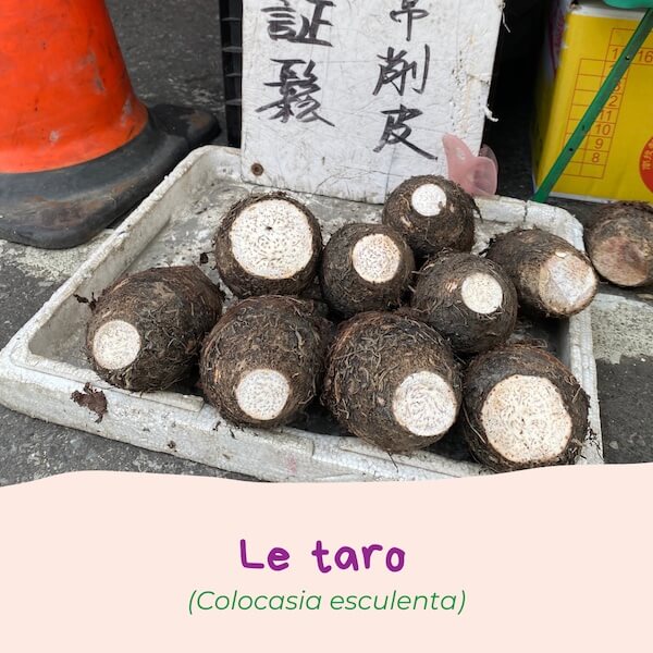 Taro | Qu'est-ce qu'on mange à Taïwan | Collectif Eco-solidaire Corée Taïwan