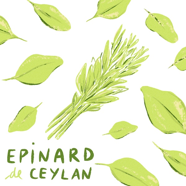 Epinard de Ceylan | Qu'est-ce qu'on mange à Taïwan | Collectif Eco-solidaire Corée Taïwan