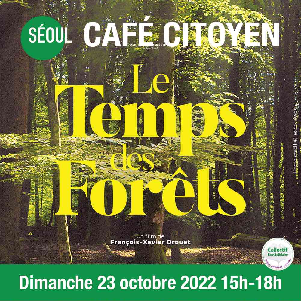 Café-citoyen :  forêts françaises
